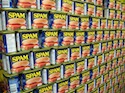 Canning SPAM
