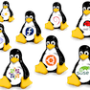 linux_distros.png